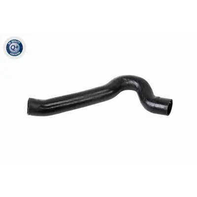 Envío Gratis Tubo flexible de aire de sobrealimentación VAICO V42-0600